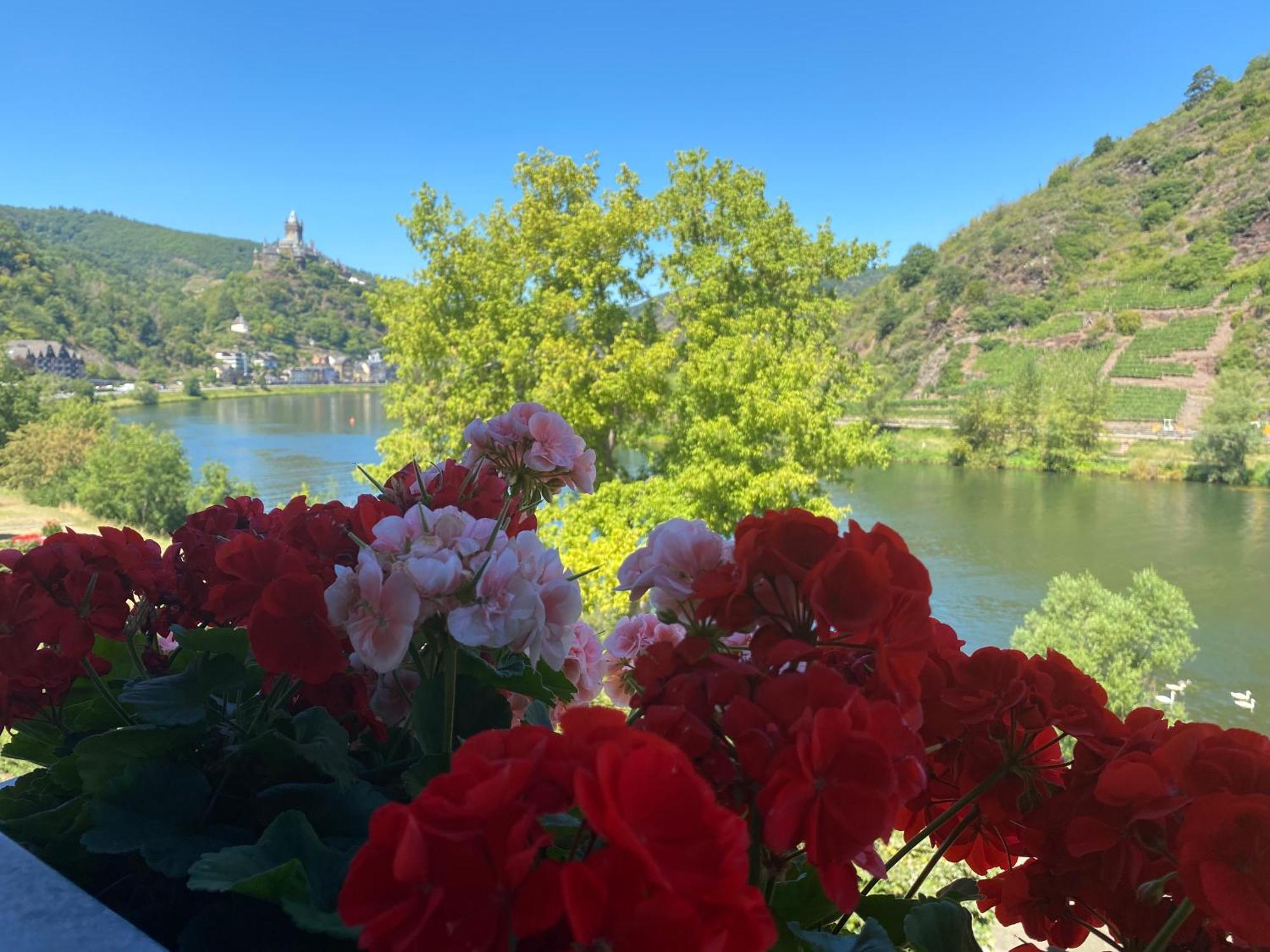 Hotel Altes Winzerhaus Cochem Pokój zdjęcie